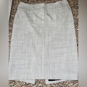Express Pencil Skirt